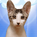 VuThuyHa