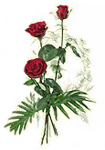 trangyeu1989