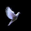 Đông Anh