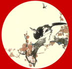 nuhoang