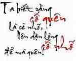 vanhong