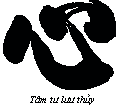 tim79