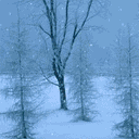 tuongvi014