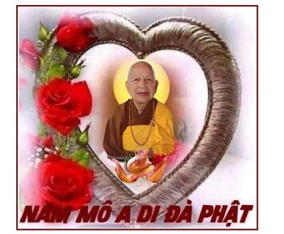 Một Cánh Hoa Ưu Đàm Vừa Mới Rụng