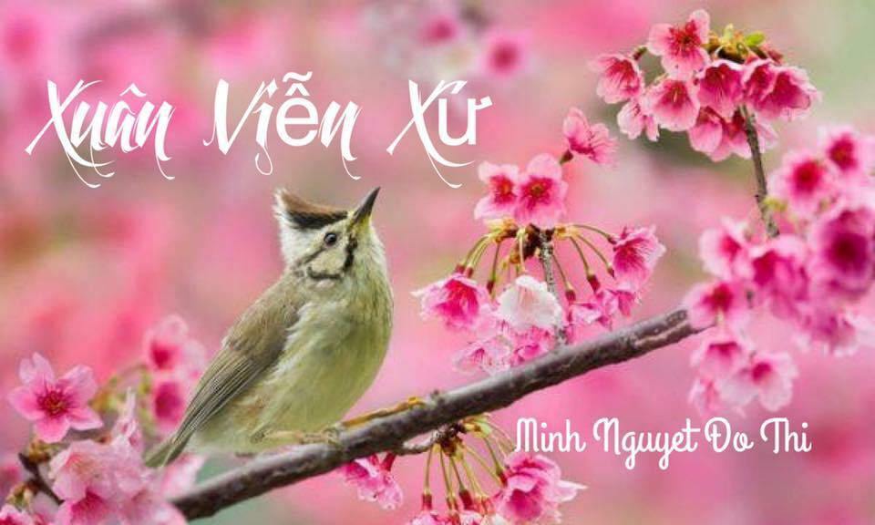 Xuân Viễn Xứ