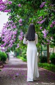 Bằng Lăng Tím