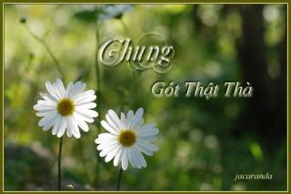 Chung Gót Thật Thà ... 