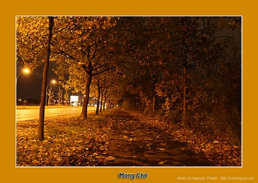 Giao Khúc Giữa Đời 