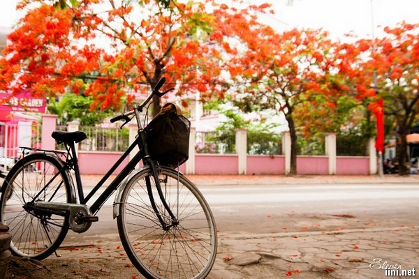 Nhớ Hạ