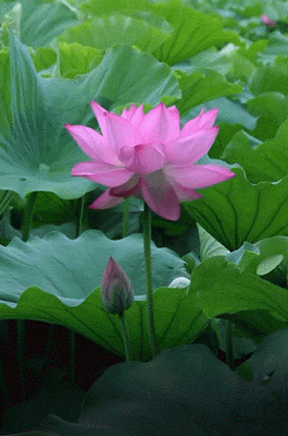 Điều Muốn Nói…?
