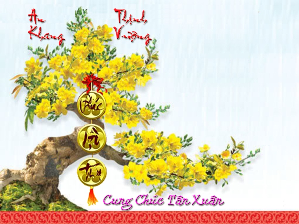 Mai Vàng Thiệp Xuân