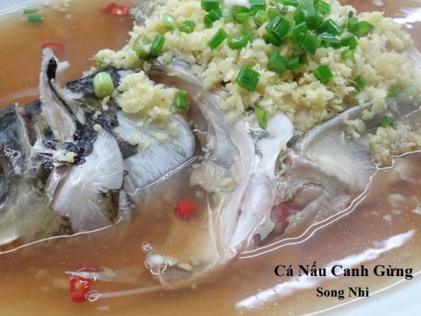 Cá Nấu Canh Gừng                                                                                                                                      