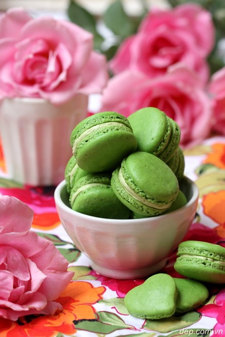 Macarons Trà Xanh                                                                                                                                     