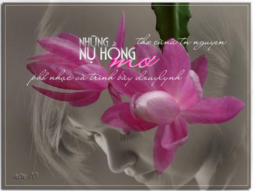 Những Nụ Hồng Mơ