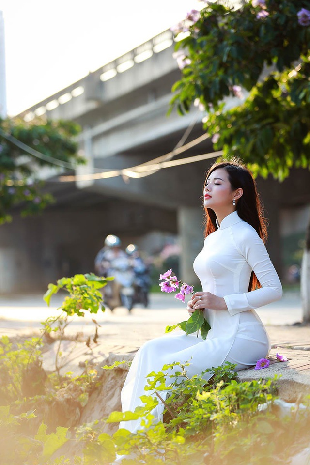 Bằng Lăng Tím
