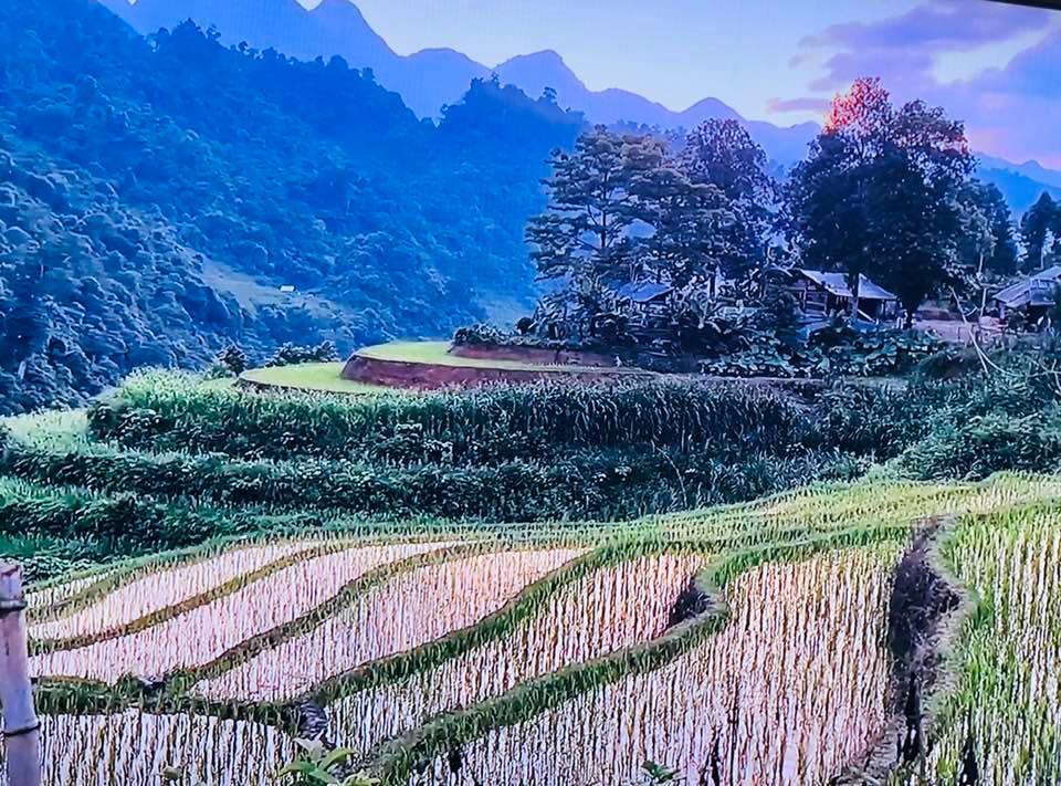 Chiều Biên Khu