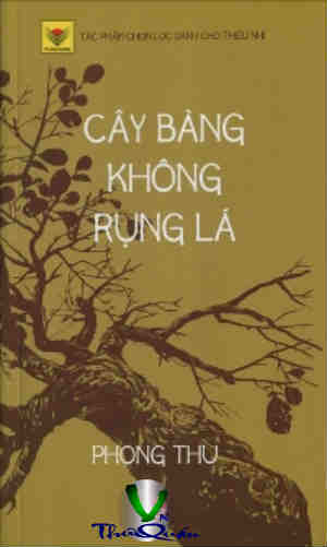 Cây Bàng Không Rụng Lá