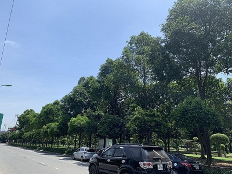 Hải Dương Quê Tôi