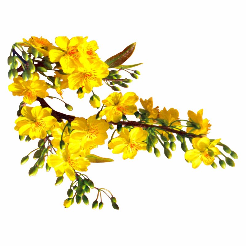 Ảnh bìa truyện