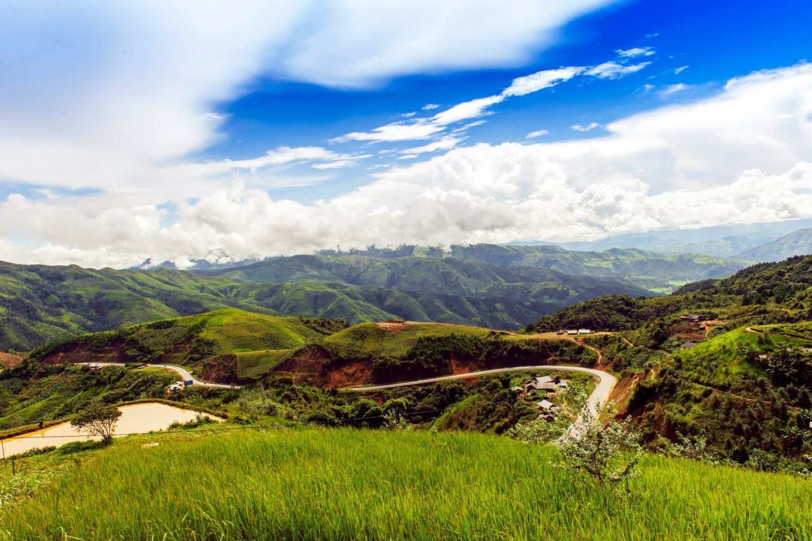 Ảnh bìa truyện