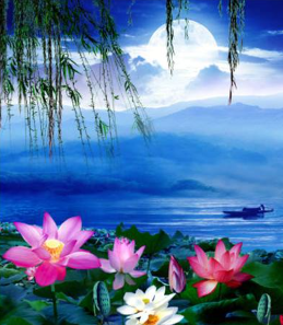 Ảnh bìa truyện