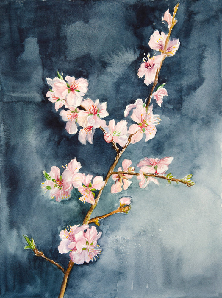 Mật Mùa Xuân