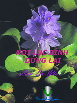 Nơi Lục Bình Dừng Lại