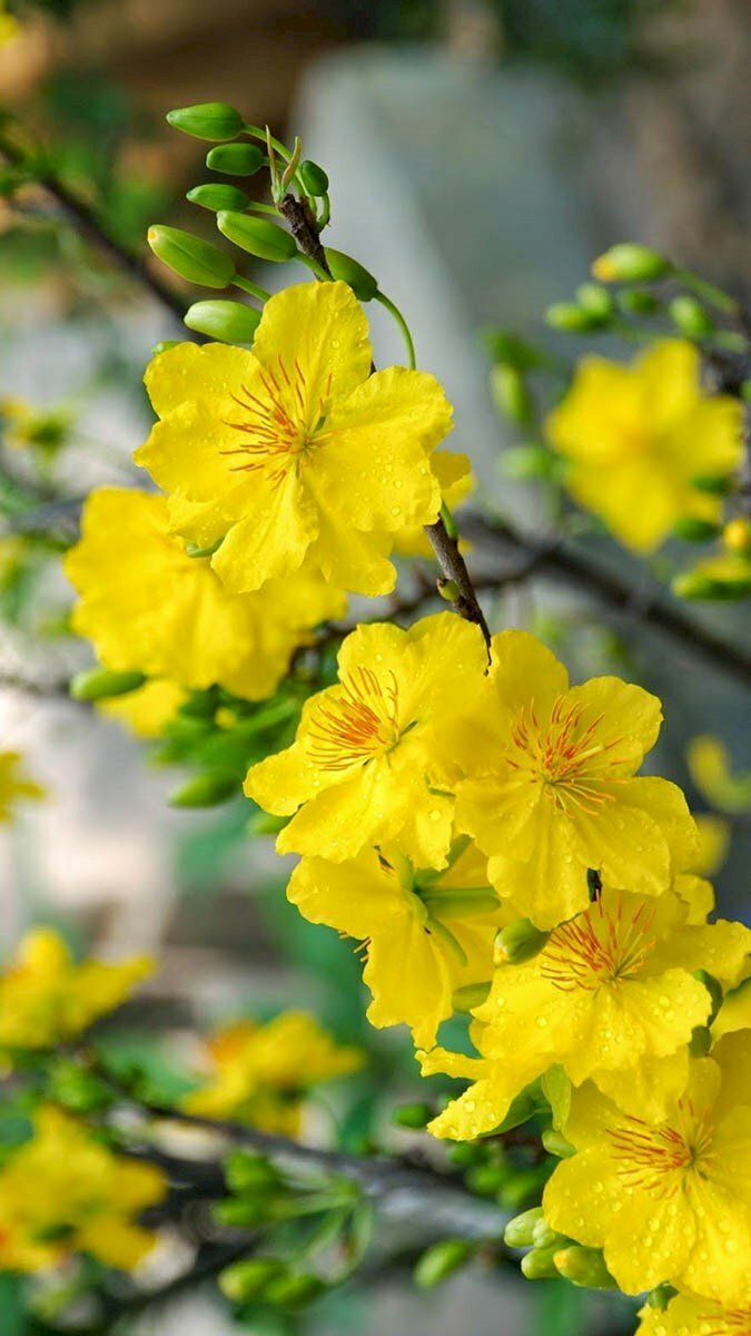 Ảnh bìa truyện
