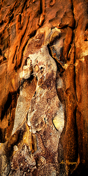 Đá Đợi