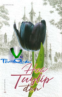 Hoa Tulip đen