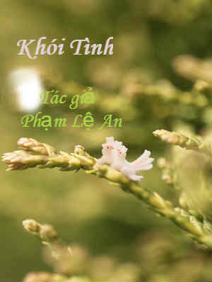 Khói Tình