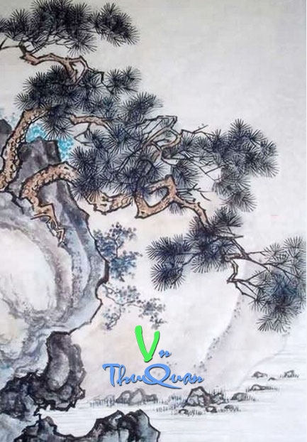 Cận Thân Bảo Tiêu
