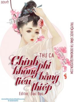 Chính Phi Không Bằng Tiểu Thiếp