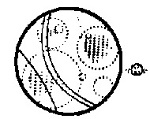 h5