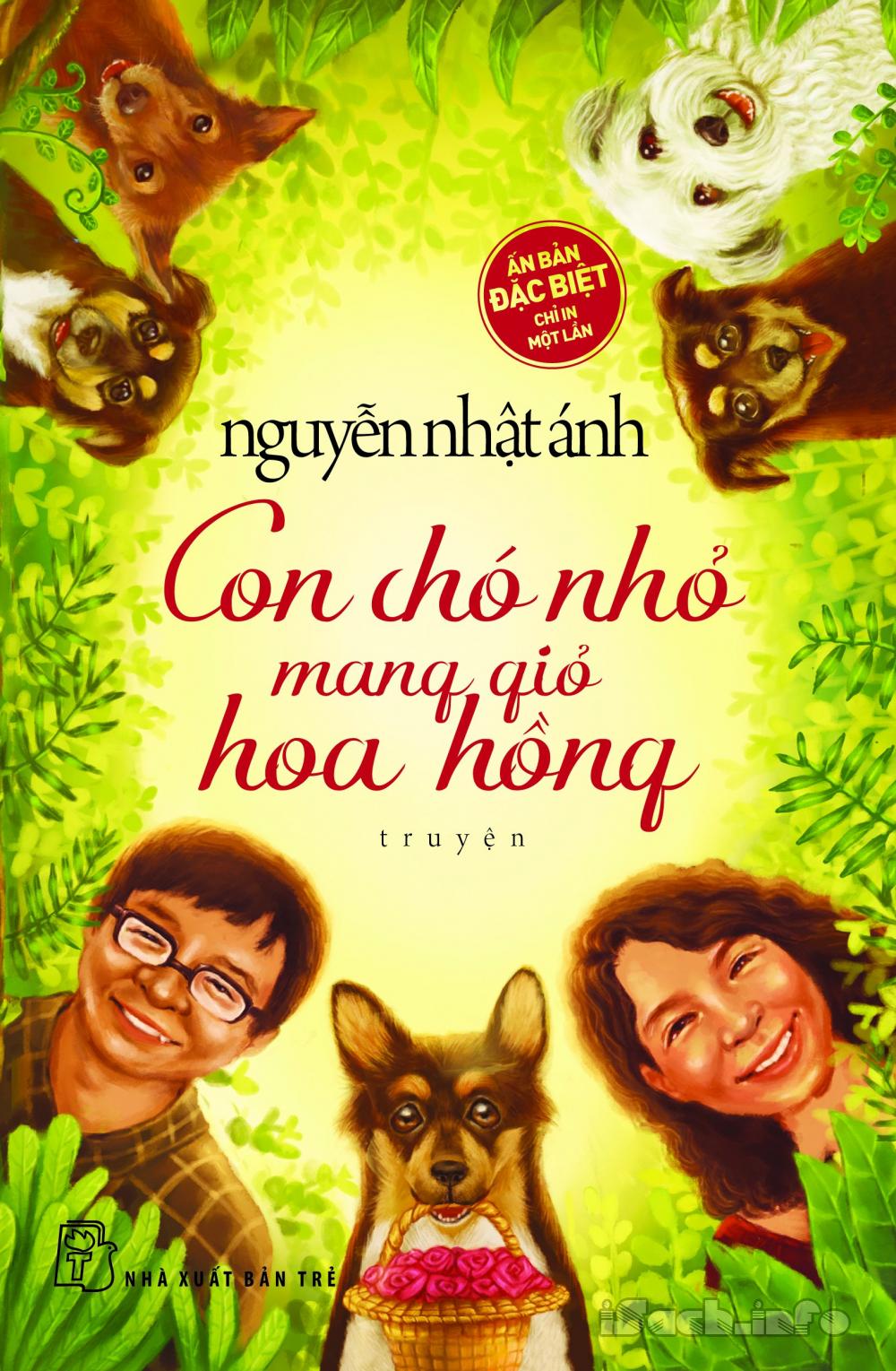 Con Chó Nhỏ Mang Giỏ Hoa Hồng