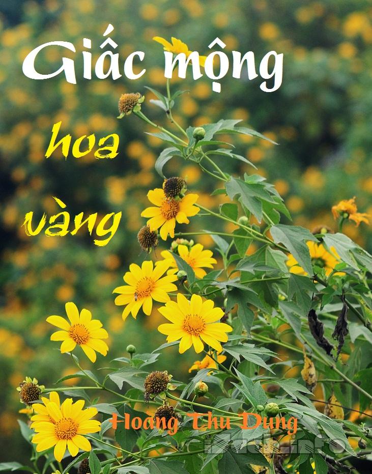 Giấc Mộng Hoa Vàng