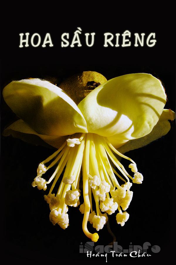 Hoa Sầu Riêng