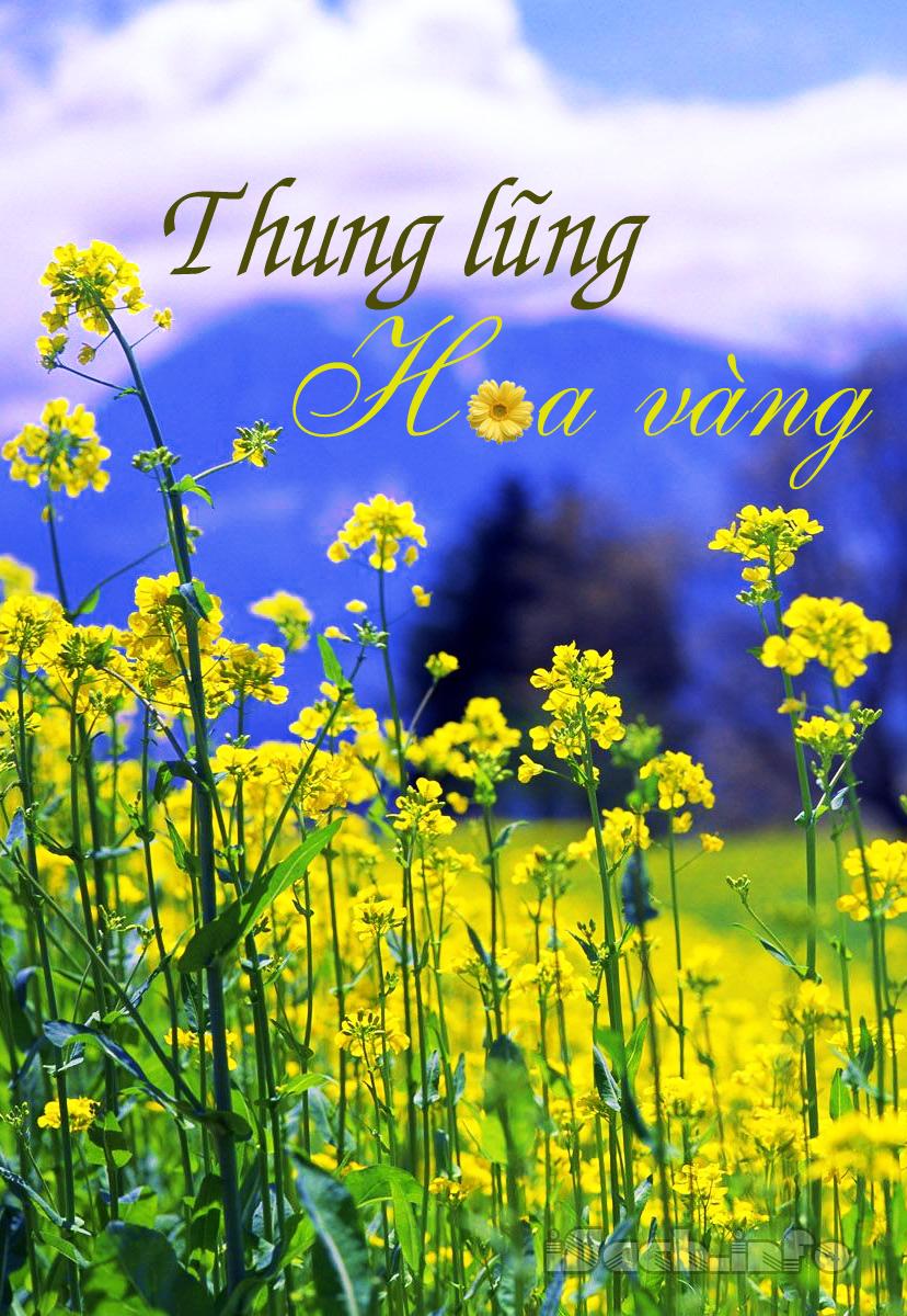 Thung Lũng Hoa Vàng