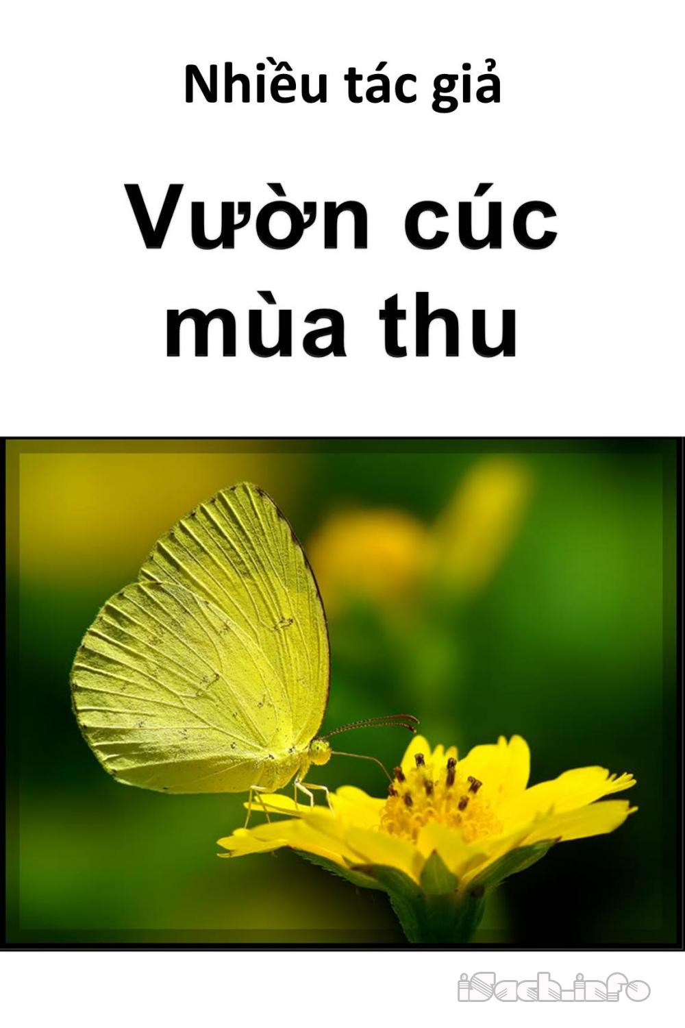 Vườn Cúc Mùa Thu
