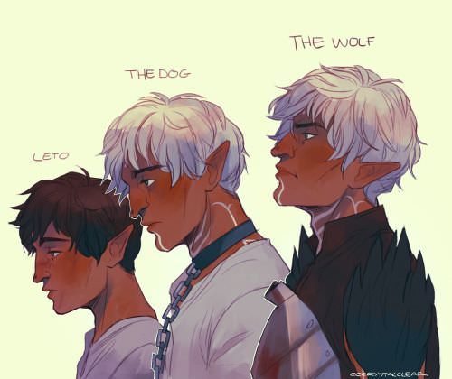 chapter content