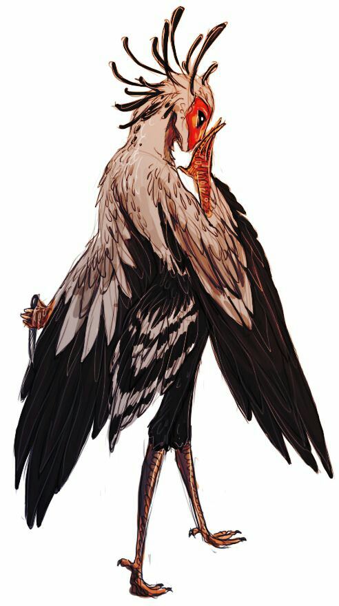 chapter content