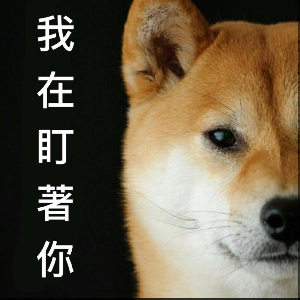 chapter content