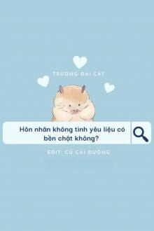 Hôn Nhân Không Tình Yêu Liệu Có Bền Chặt Không