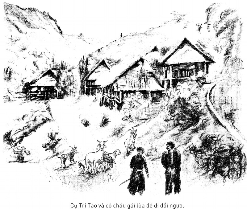 Ảnh minh hoạ