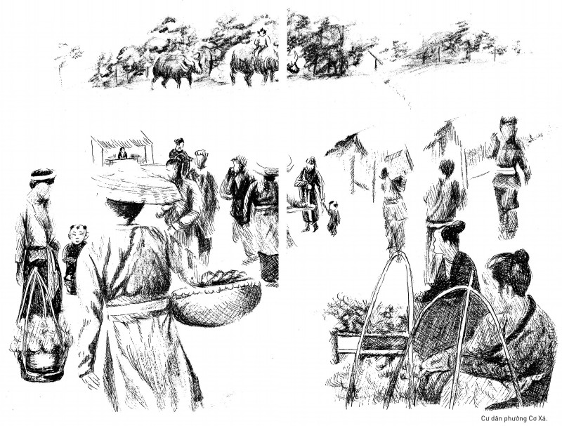 Ảnh minh hoạ