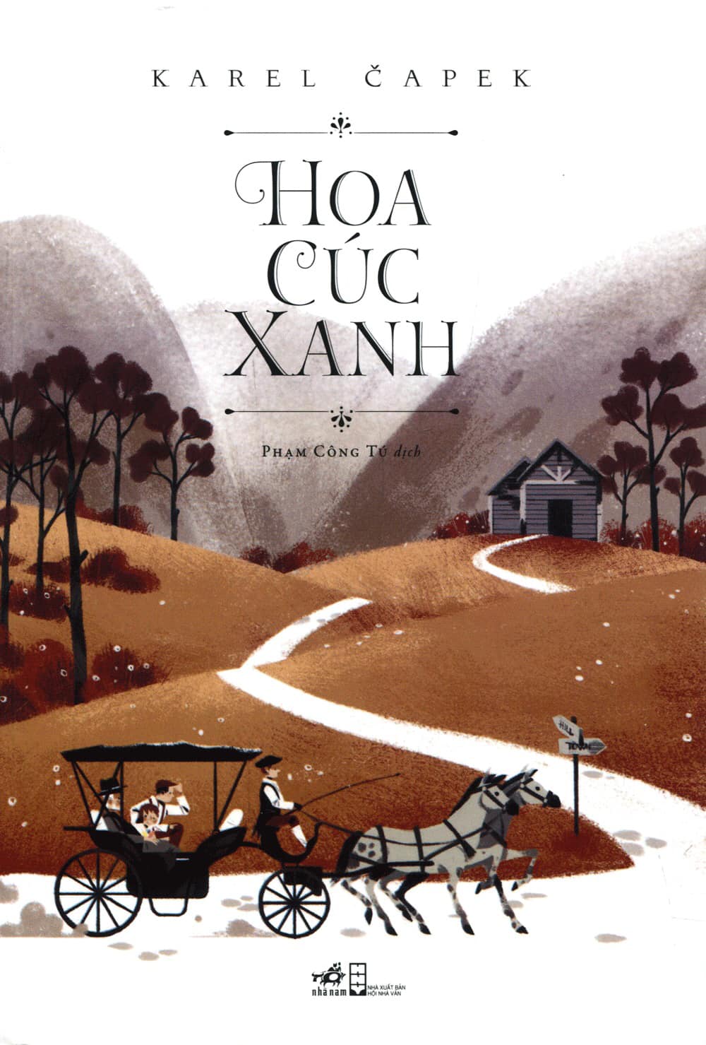 Hoa Cúc Xanh
