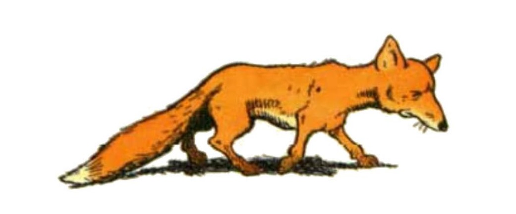 0008