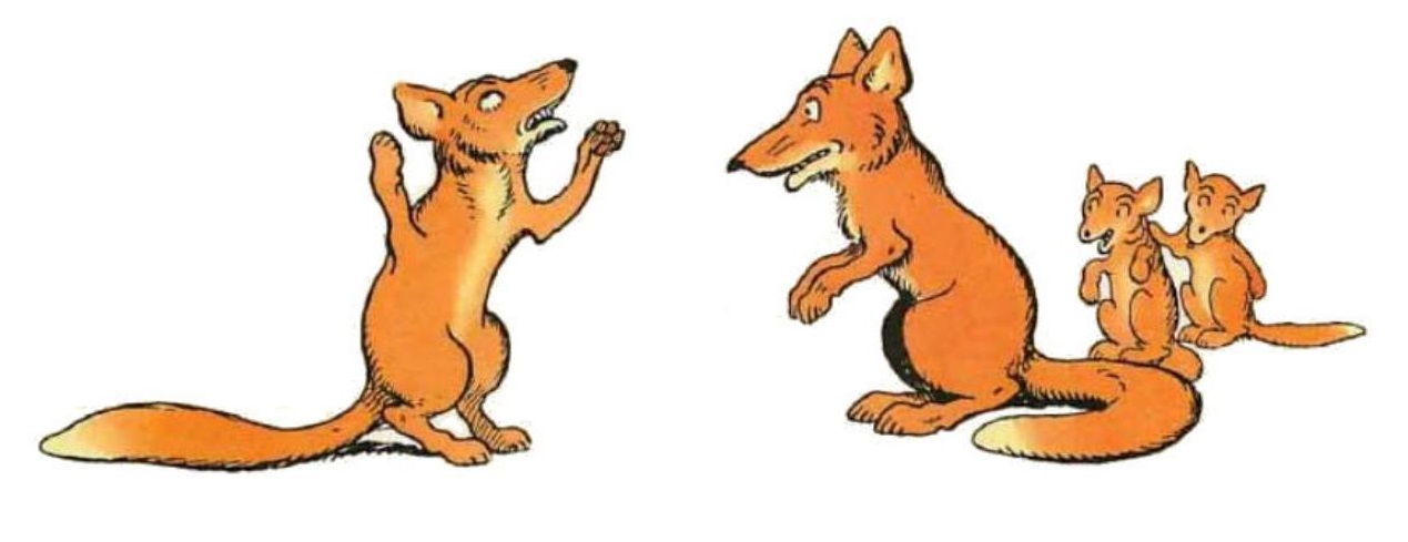 0066