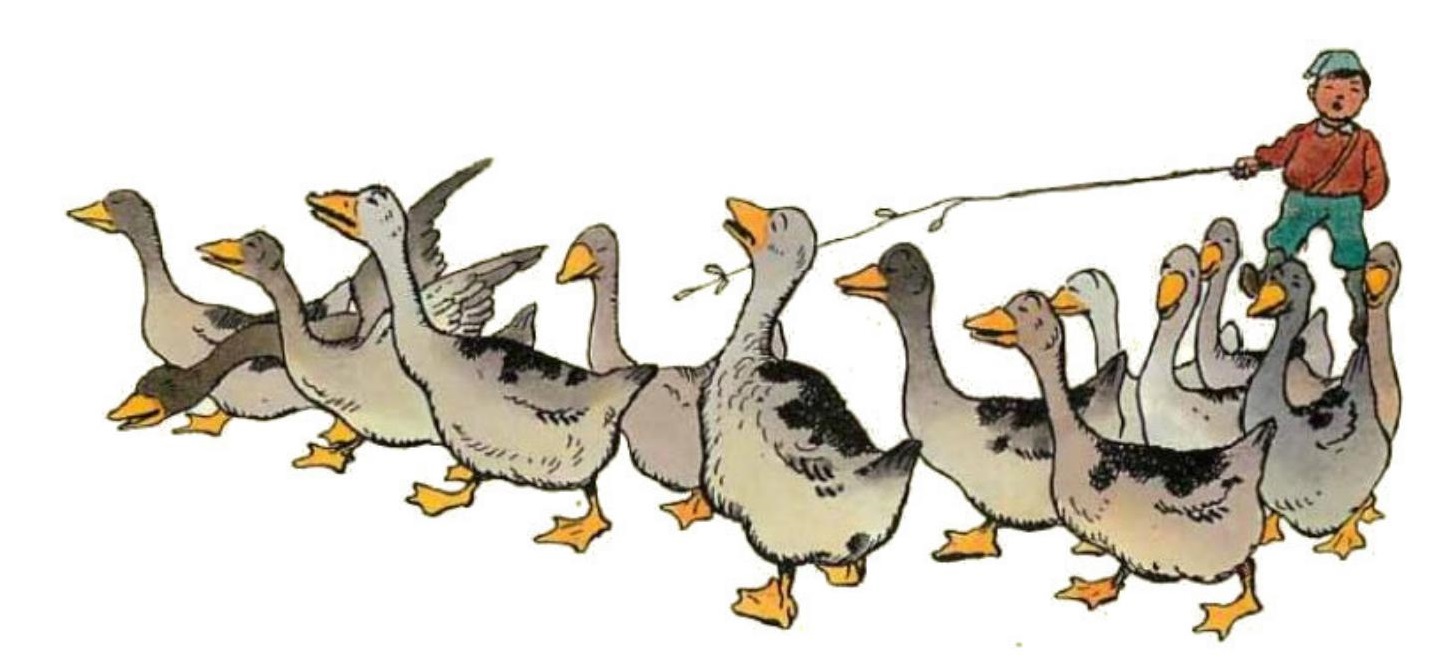 0080