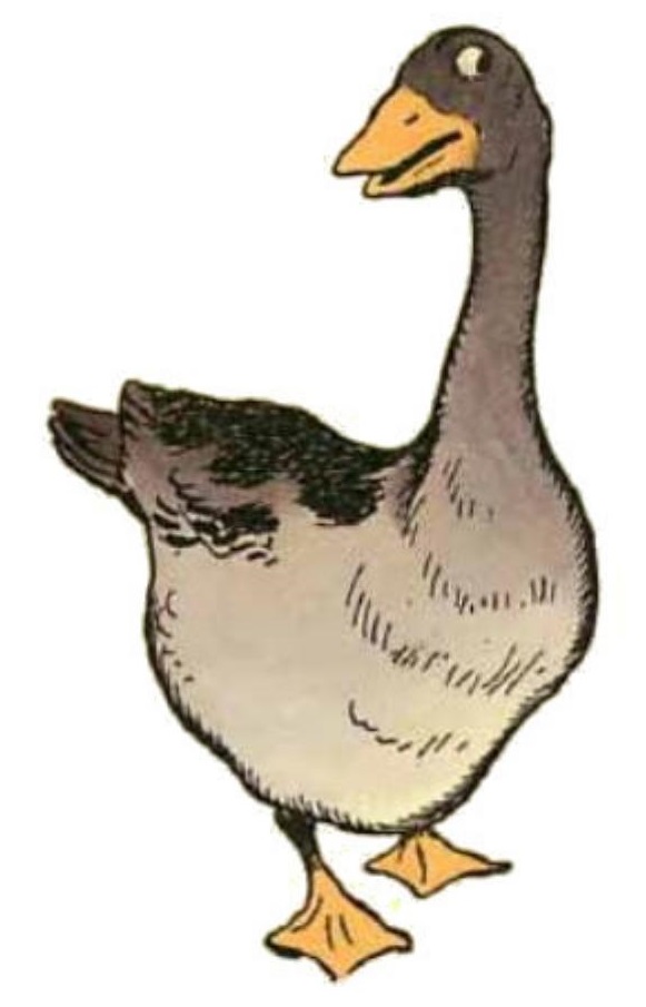 0081